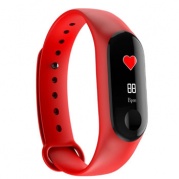 SMARTERRA FitMaster Color Red * Фитнес-браслет
