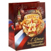 Пакет ламинат 14х11см "С Днем Защитника Отечества" 1148955 * Пакет