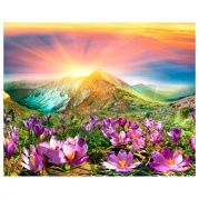 Картина по номерам 40x50 Горные цветы (VA-1802) * Картина по номерам