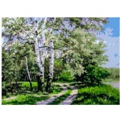 Картина по номерам 30x40 Береза (EX-5352) * Картина по номерам